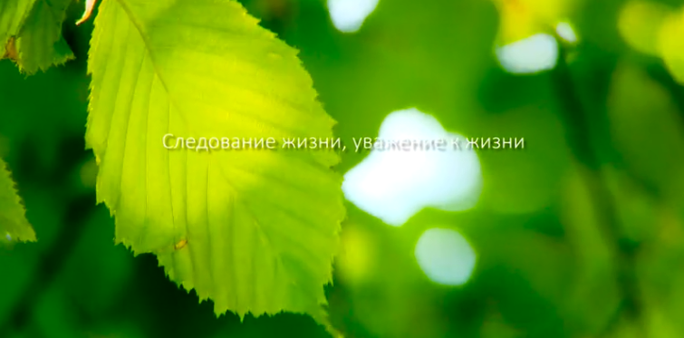 J9集团集团形象片（русский）