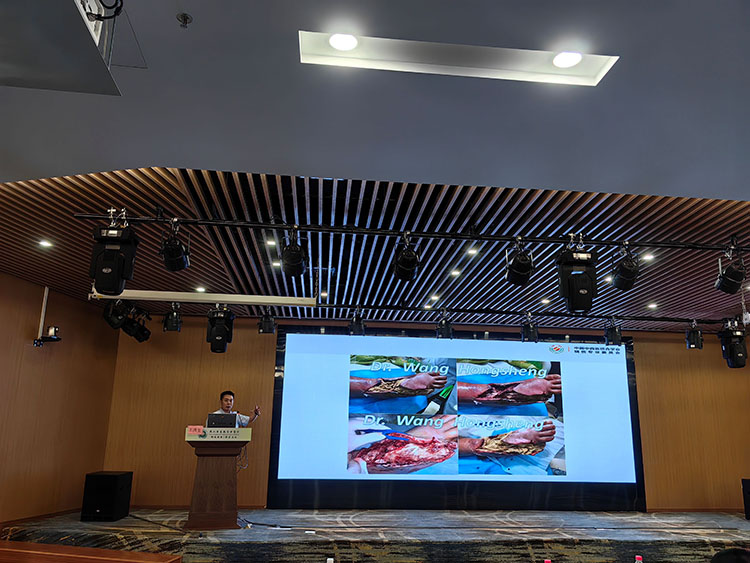 J9集团|国际站官网