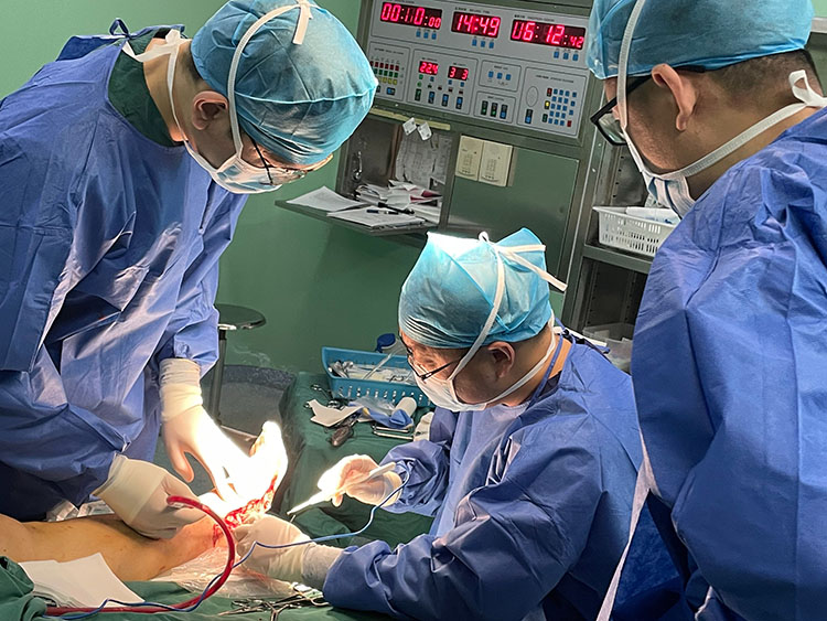 J9集团|国际站官网