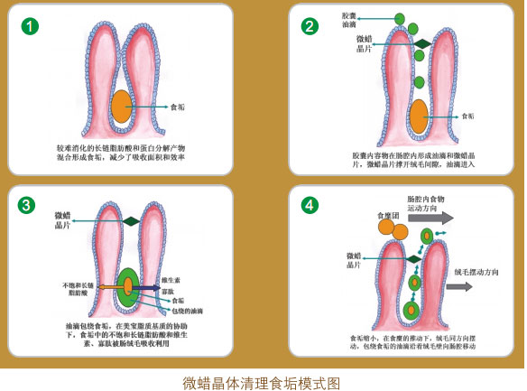 2011220132826992
