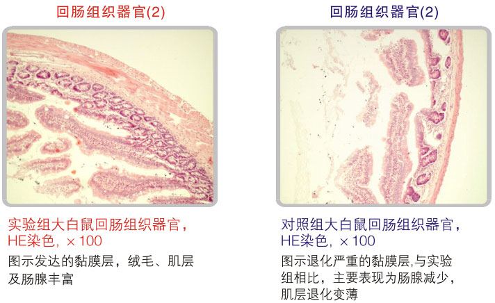 201122014556214