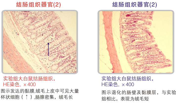 201122014638718